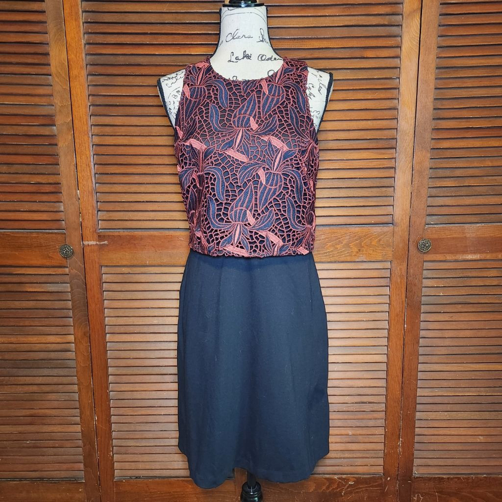 Banana Republic Lace Embroidered Overlay Shift Dress